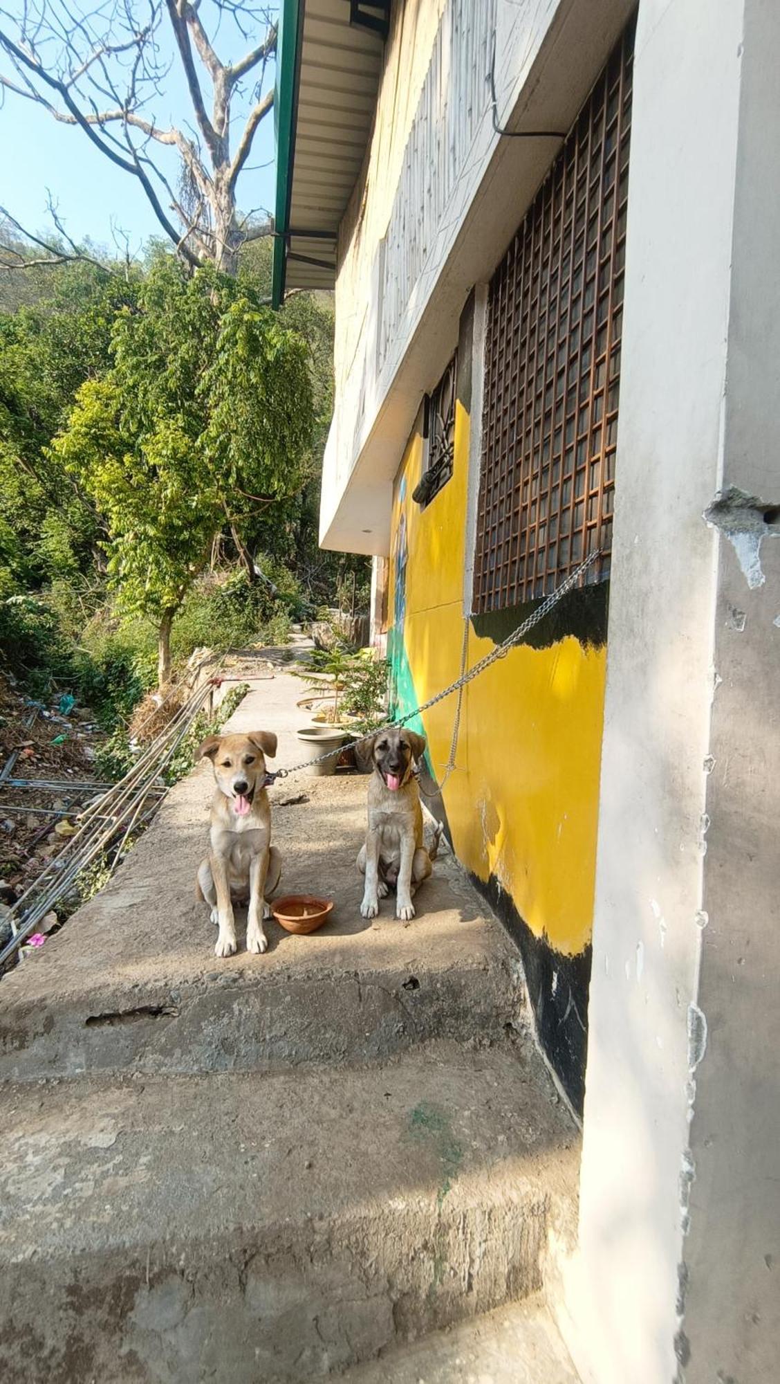 Blabla House Rishikesh Hostel Bagian luar foto