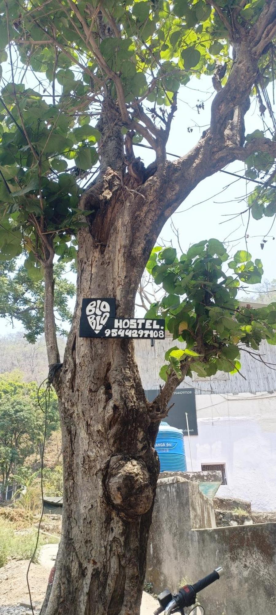 Blabla House Rishikesh Hostel Bagian luar foto